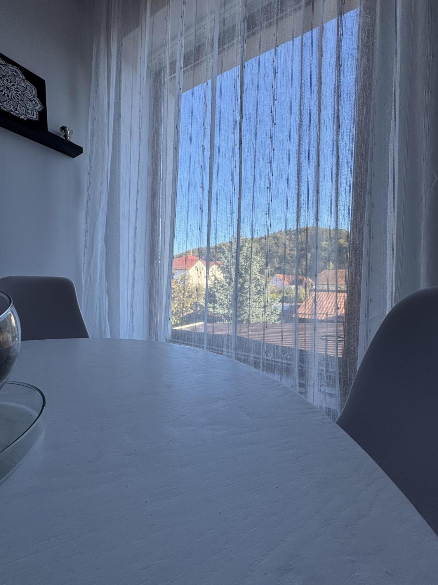 Vik'S Home Σιγκισοάρα Εξωτερικό φωτογραφία