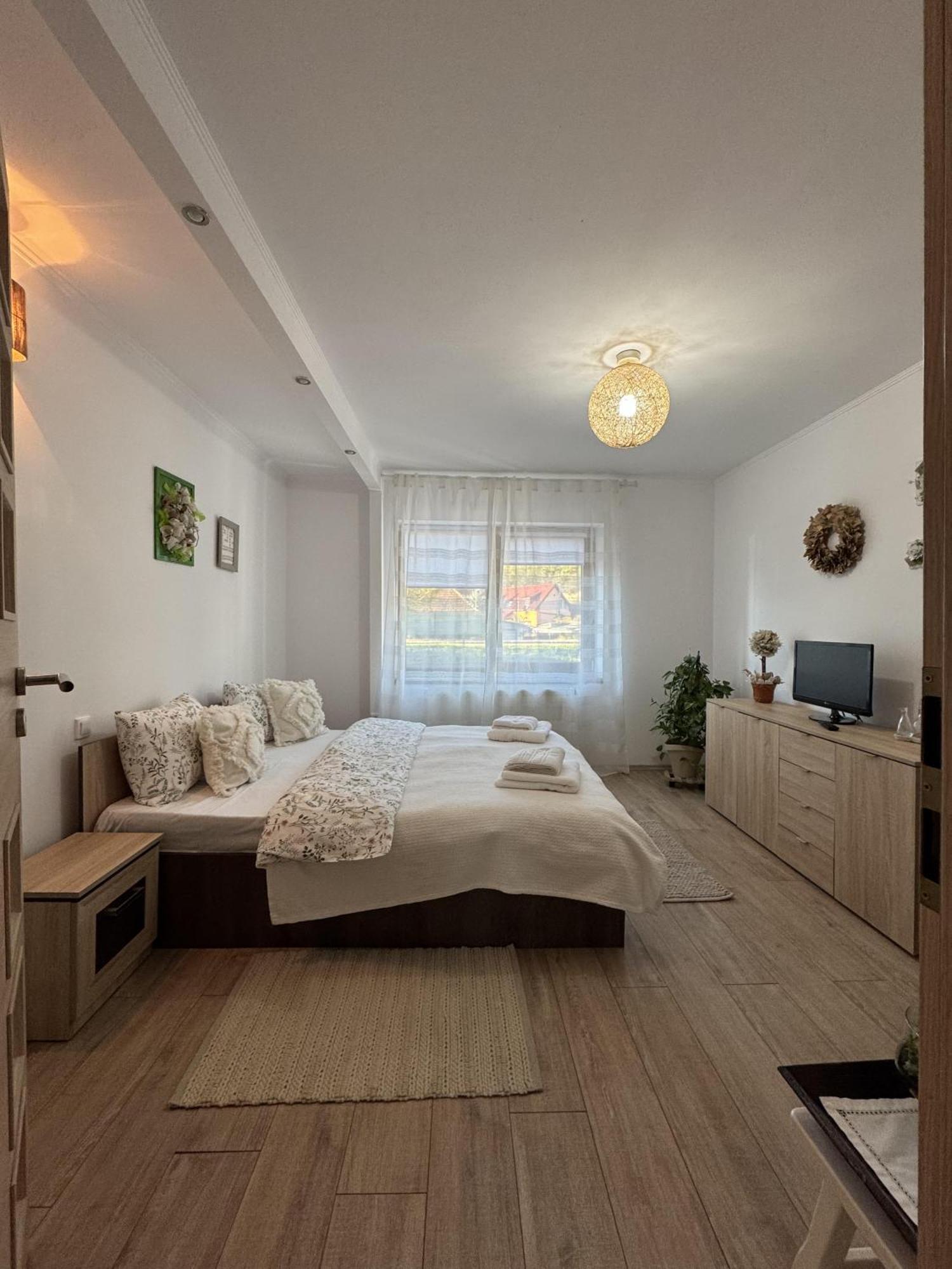 Vik'S Home Σιγκισοάρα Εξωτερικό φωτογραφία