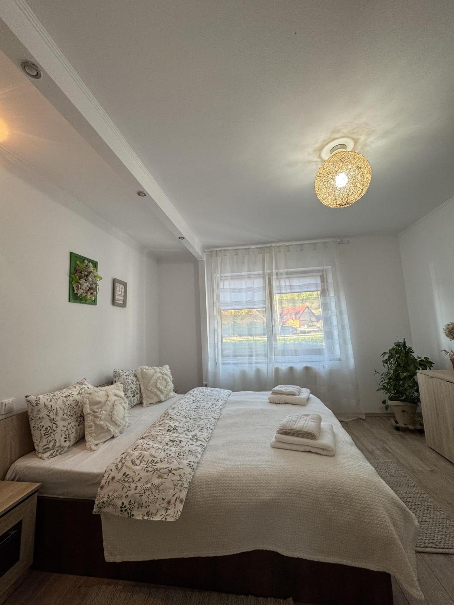 Vik'S Home Σιγκισοάρα Εξωτερικό φωτογραφία